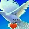 user3805472768209