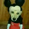 g3om3tr1c_cr4yon