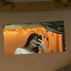 yuhbobbie