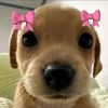 ny.__azulita
