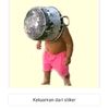 polinbray