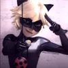 catnoir406i0