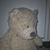 pook_plus