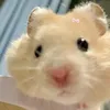 zuanyy_zunn