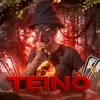 teino_tt