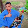 m.moosa1236