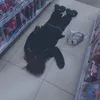 yulksav