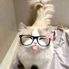 kzaa__