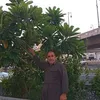 farhadmhmd269