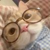 ilov3catsssssssss