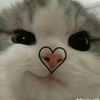 hilma_ima7