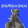 romabvyynlm