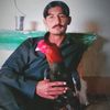 malik.waseem1263