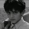 fazza52229