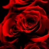 user7332038049034