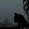 ahnyan45