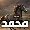 user65295819067132