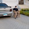 user8036129861182
