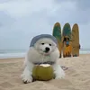 vuthituongvyy212