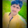 sheer.wali83