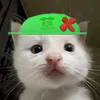 𝘪𝘧.𝘲𝘵𝘮𝘦𝘰𝘸ˇ໒꒱