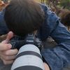 cats photography