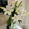 nguynthue2577