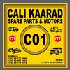 cali.kaarad.motor2
