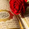 mustafa20923