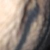 gal1hcuek