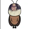 vann.dgh