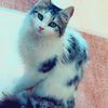 amal.la.moula