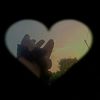 la_sh._.76