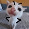 wawaamodesadd