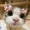 _syahsa.6