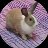 shenny682