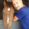 ernando.silveira2