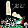 user7199731477960