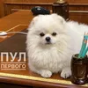 umka.novosti