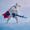 __bnth__