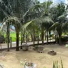 hong.trung4474