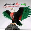 user6908496153715