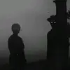 _zjdy