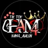 ham4_avalon_editor