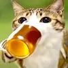 ynm.nekz