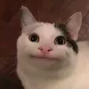 zathuraahhh