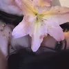 roqshen1