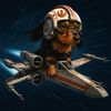 Drewbacca
