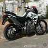 alexandrepedro831