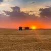 elaprendiz80